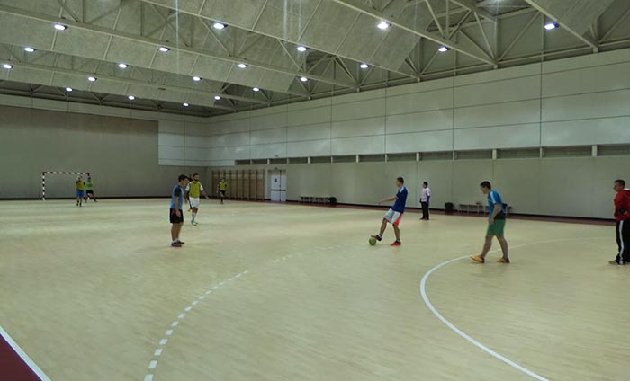 Suelo deportivo - Suelo PVC - Sportex