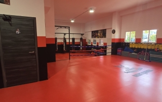 Tatami rojo continuo para tae-kwon-do