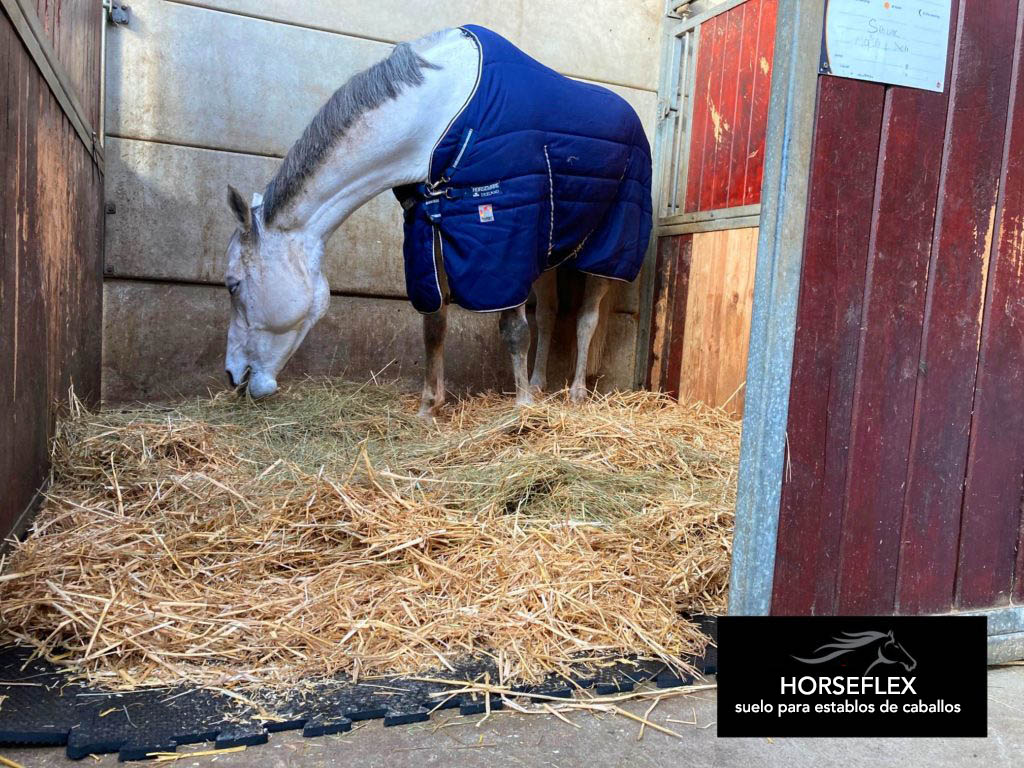 Losetas Horseflex para establos de caballos