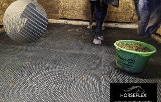 Loseta de goma para box de caballos